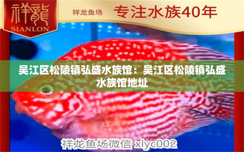 吴江区松陵镇弘盛水族馆：吴江区松陵镇弘盛水族馆地址 全国水族馆企业名录