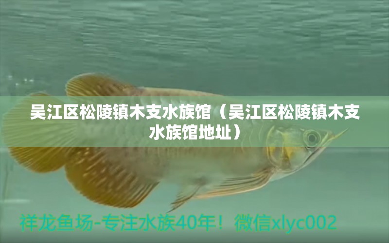 吴江区松陵镇木支水族馆（吴江区松陵镇木支水族馆地址） 全国水族馆企业名录