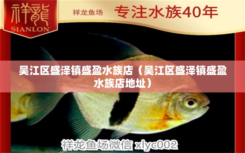 吴江区盛泽镇盛盈水族店（吴江区盛泽镇盛盈水族店地址）