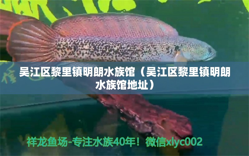 吴江区黎里镇明朗水族馆（吴江区黎里镇明朗水族馆地址）