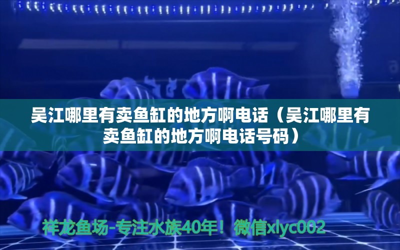 吴江哪里有卖鱼缸的地方啊电话（吴江哪里有卖鱼缸的地方啊电话号码） 观赏鱼市场（混养鱼）