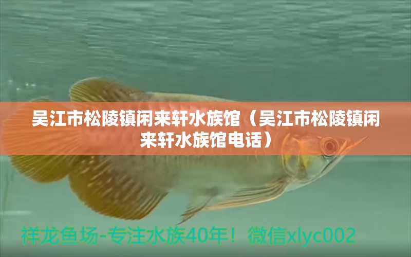 吴江市松陵镇闲来轩水族馆（吴江市松陵镇闲来轩水族馆电话）