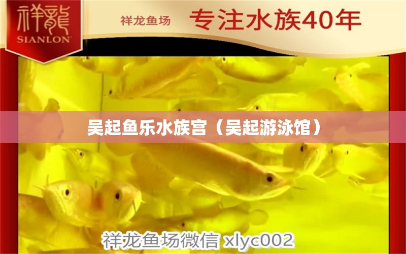 吴起鱼乐水族宫（吴起游泳馆）