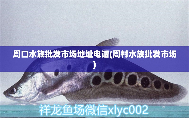 周口水族批发市场地址电话(周村水族批发市场) 观赏鱼水族批发市场