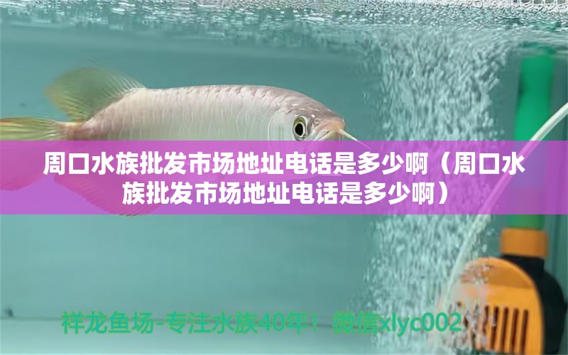 周口水族批发市场地址电话是多少啊（周口水族批发市场地址电话是多少啊） 观赏鱼水族批发市场