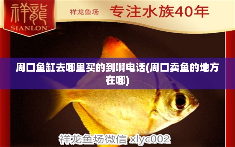 周口鱼缸去哪里买的到啊电话(周口卖鱼的地方在哪) 水族品牌 第1张