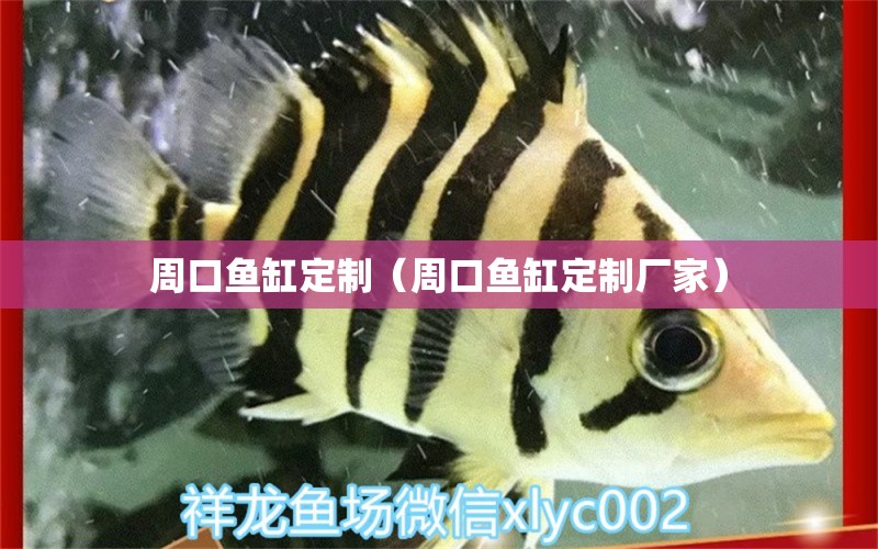 周口鱼缸定制（周口鱼缸定制厂家） 其他品牌鱼缸