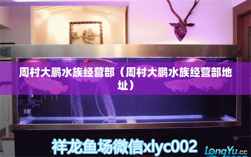 周村大鹏水族经营部（周村大鹏水族经营部地址） 全国水族馆企业名录