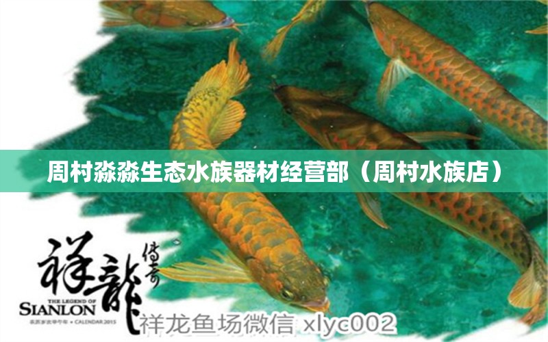 周村淼淼生态水族器材经营部（周村水族店） 全国水族馆企业名录