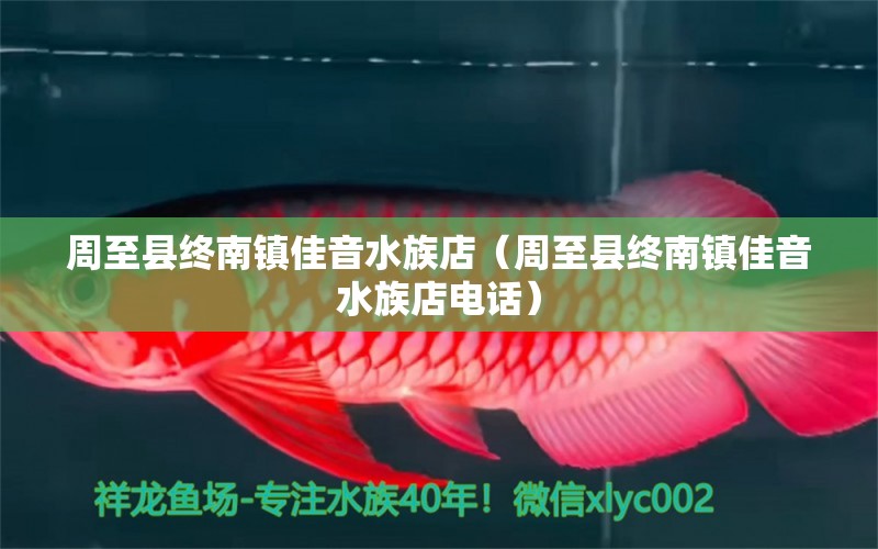 周至县终南镇佳音水族店（周至县终南镇佳音水族店电话） 全国水族馆企业名录