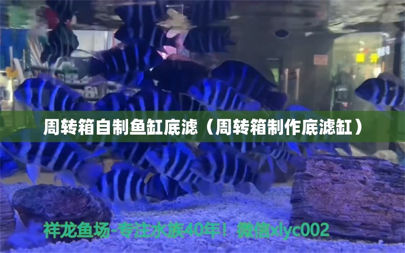 周转箱自制鱼缸底滤（周转箱制作底滤缸）