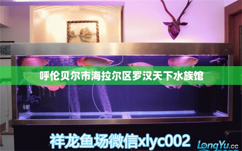 呼伦贝尔市海拉尔区罗汉天下水族馆