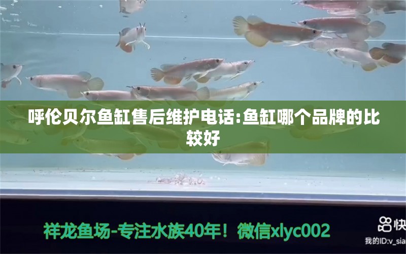 呼伦贝尔鱼缸售后维护电话:鱼缸哪个品牌的比较好