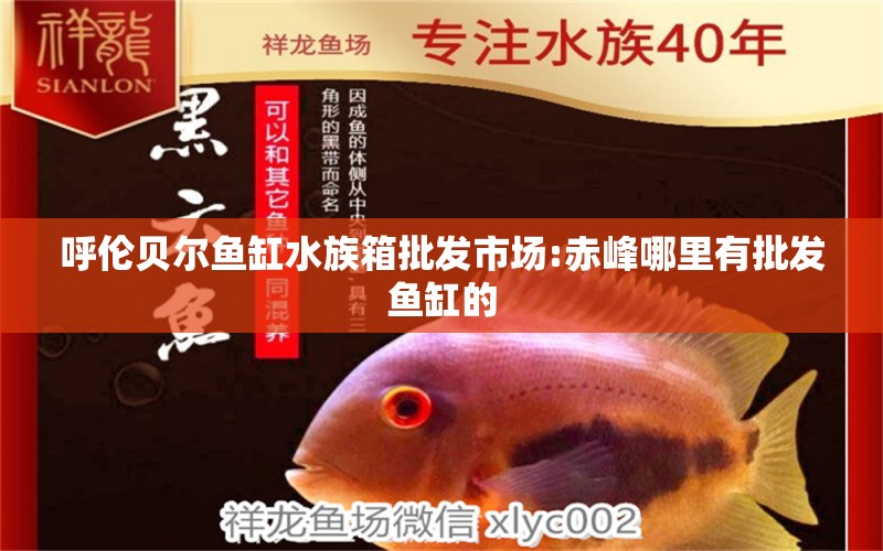 呼伦贝尔鱼缸水族箱批发市场:赤峰哪里有批发鱼缸的