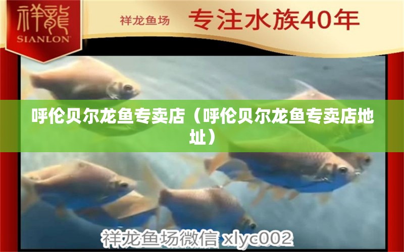 呼伦贝尔龙鱼专卖店（呼伦贝尔龙鱼专卖店地址） 祥龙水族医院