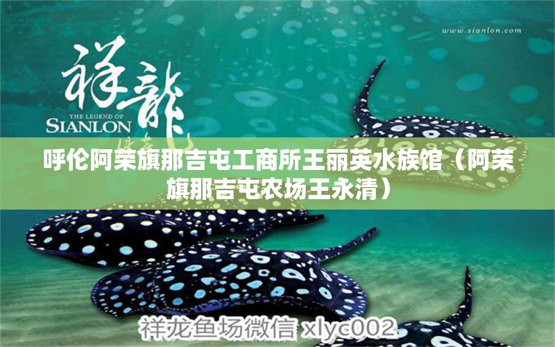 呼伦阿荣旗那吉屯工商所王丽英水族馆（阿荣旗那吉屯农场王永清）