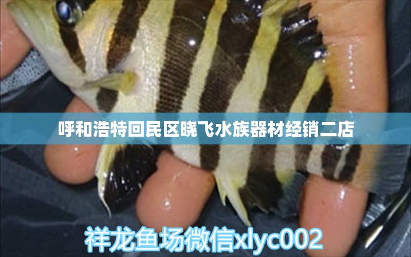 呼和浩特回民区晓飞水族器材经销二店