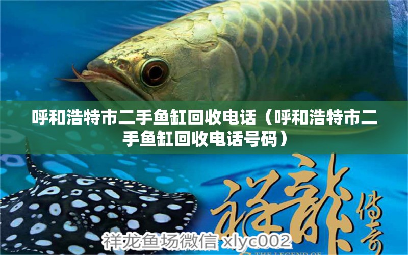 呼和浩特市二手鱼缸回收电话（呼和浩特市二手鱼缸回收电话号码） 观赏鱼市场（混养鱼）