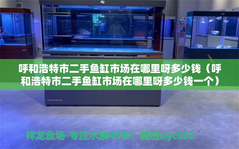 呼和浩特市二手鱼缸市场在哪里呀多少钱（呼和浩特市二手鱼缸市场在哪里呀多少钱一个） 祥龙水族医院