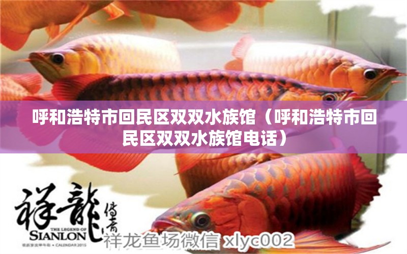 呼和浩特市回民区双双水族馆（呼和浩特市回民区双双水族馆电话） 全国水族馆企业名录