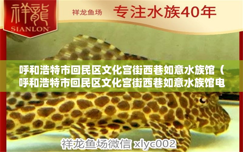 呼和浩特市回民区文化宫街西巷如意水族馆（呼和浩特市回民区文化宫街西巷如意水族馆电话） 全国水族馆企业名录