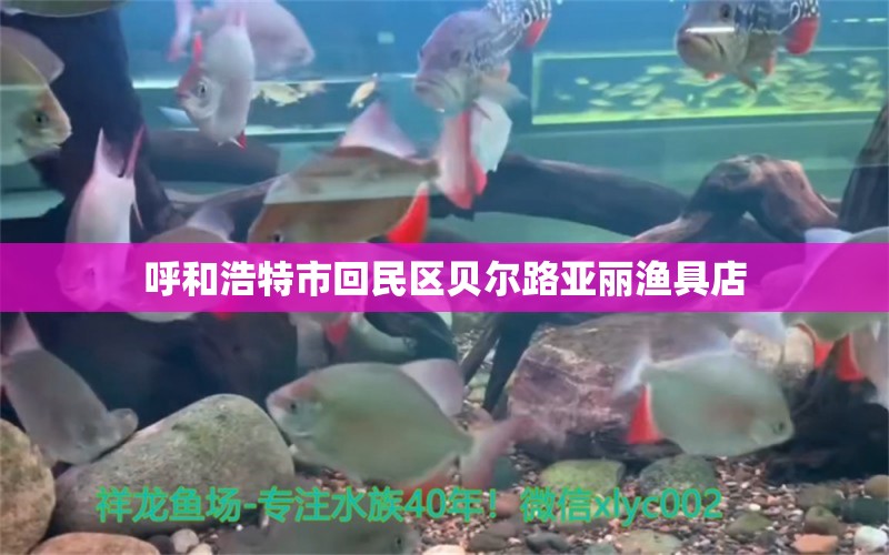 呼和浩特市回民区贝尔路亚丽渔具店 全国水族馆企业名录