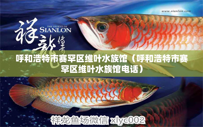 呼和浩特市赛罕区维叶水族馆（呼和浩特市赛罕区维叶水族馆电话） 全国水族馆企业名录