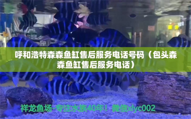 呼和浩特森森鱼缸售后服务电话号码（包头森森鱼缸售后服务电话）