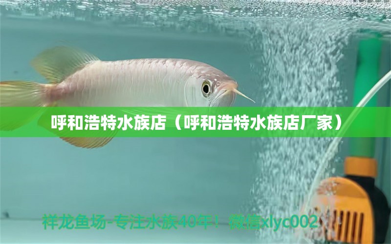 呼和浩特水族店（呼和浩特水族店厂家）