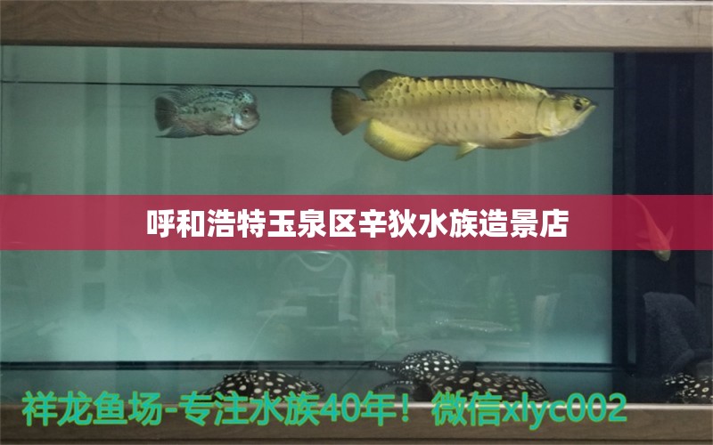 呼和浩特玉泉区辛狄水族造景店 全国水族馆企业名录 第1张