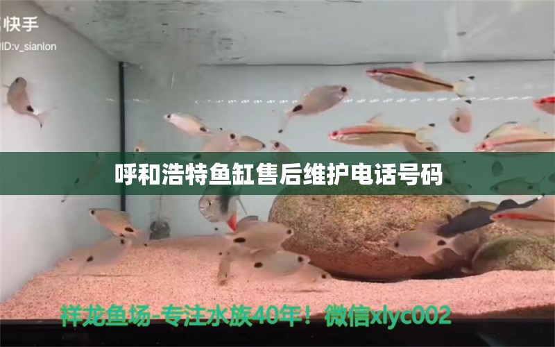 呼和浩特鱼缸售后维护电话号码