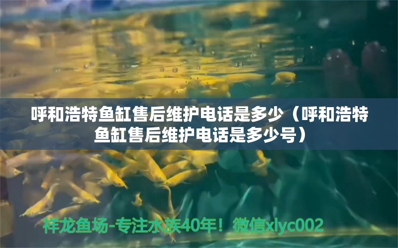 呼和浩特鱼缸售后维护电话是多少（呼和浩特鱼缸售后维护电话是多少号） 其他品牌鱼缸