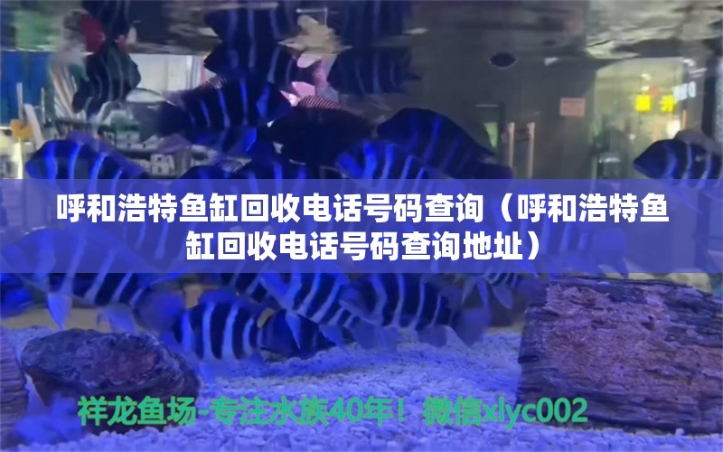 呼和浩特鱼缸回收电话号码查询（呼和浩特鱼缸回收电话号码查询地址） 充氧泵