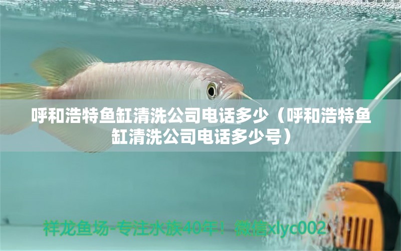 呼和浩特鱼缸清洗公司电话多少（呼和浩特鱼缸清洗公司电话多少号）