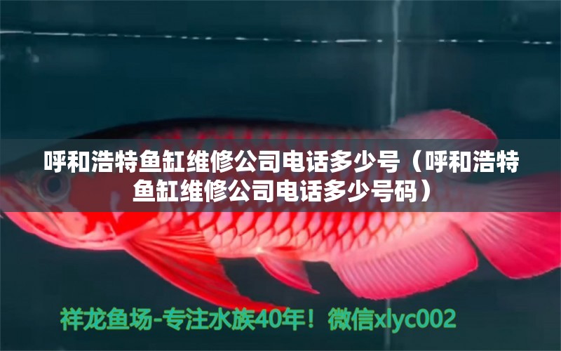 呼和浩特鱼缸维修公司电话多少号（呼和浩特鱼缸维修公司电话多少号码） 观赏鱼市场（混养鱼）