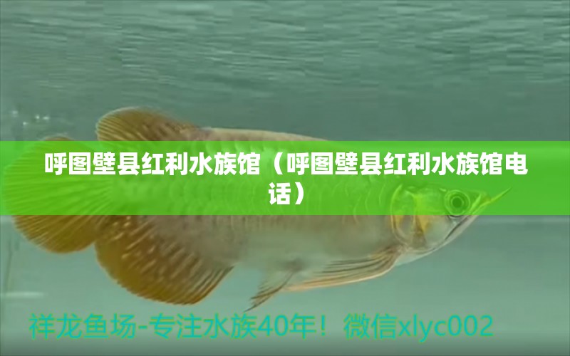 呼图壁县红利水族馆（呼图壁县红利水族馆电话）