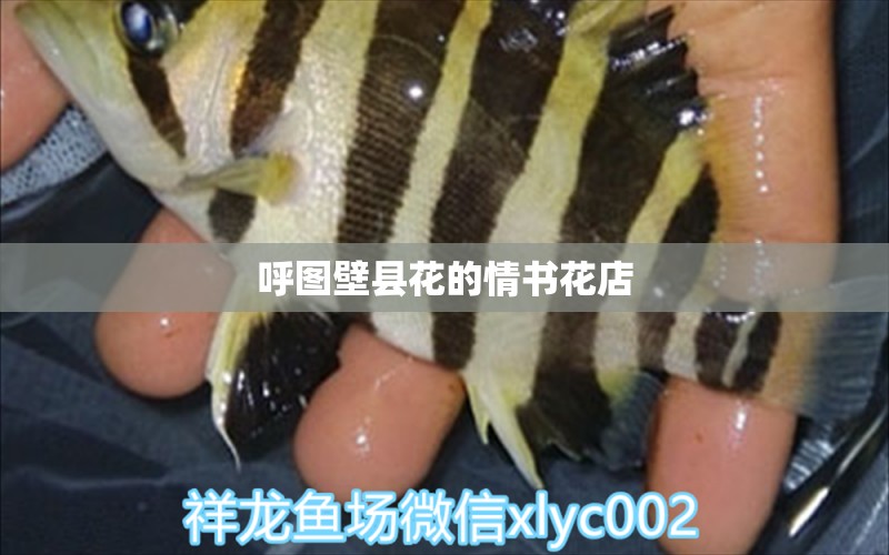 呼图壁县花的情书花店 全国水族馆企业名录