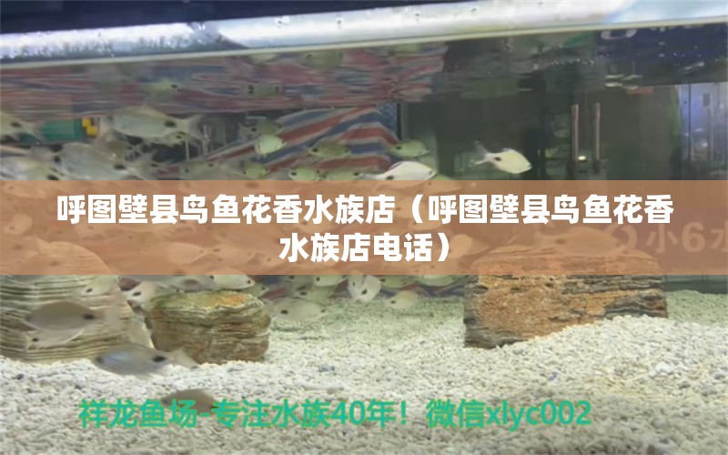 呼图壁县鸟鱼花香水族店（呼图壁县鸟鱼花香水族店电话）