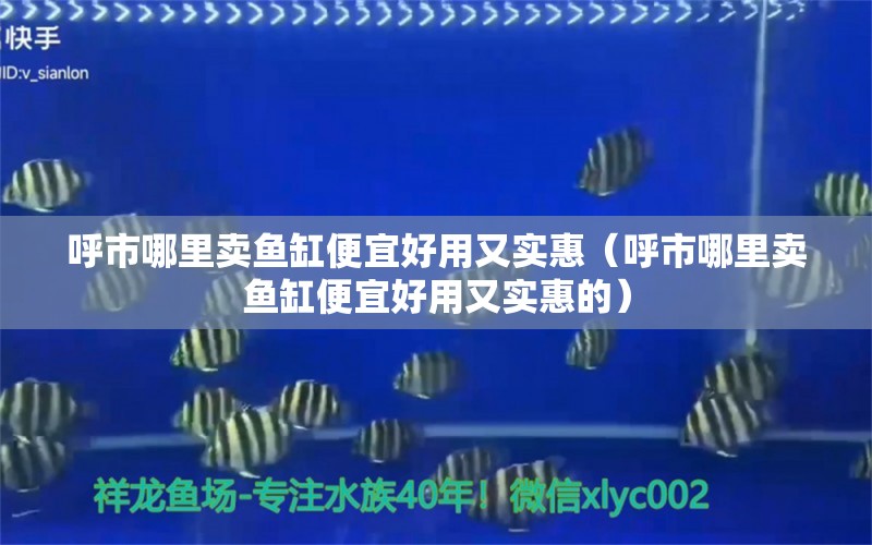 呼市哪里卖鱼缸便宜好用又实惠（呼市哪里卖鱼缸便宜好用又实惠的）