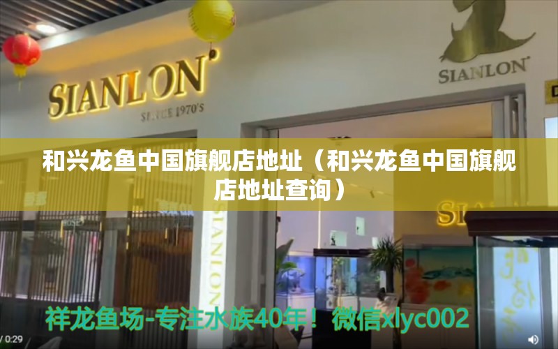 和兴龙鱼中国旗舰店地址（和兴龙鱼中国旗舰店地址查询）