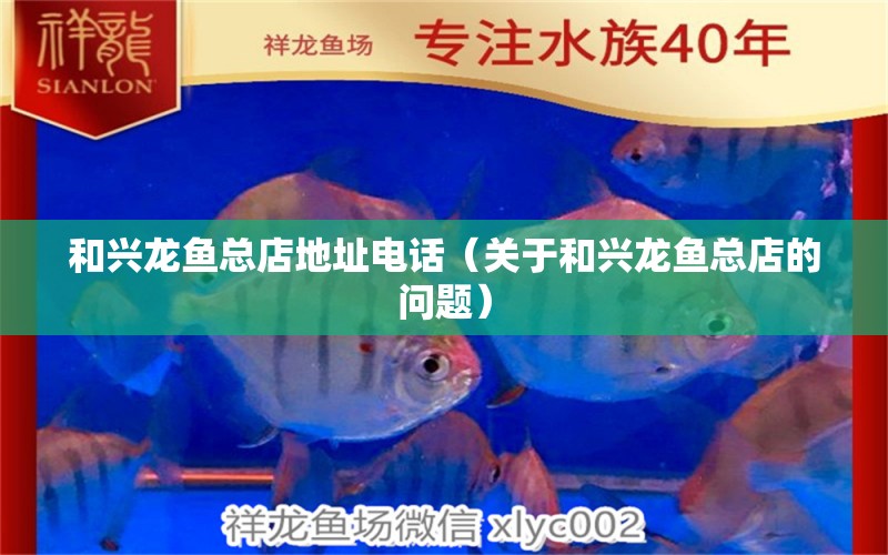 和兴龙鱼总店地址电话（关于和兴龙鱼总店的问题） 水族问答 第1张