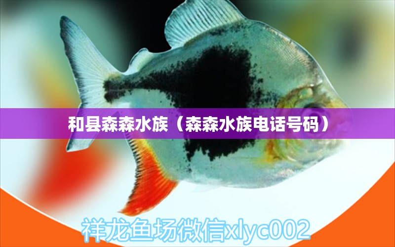 和县森森水族（森森水族电话号码）