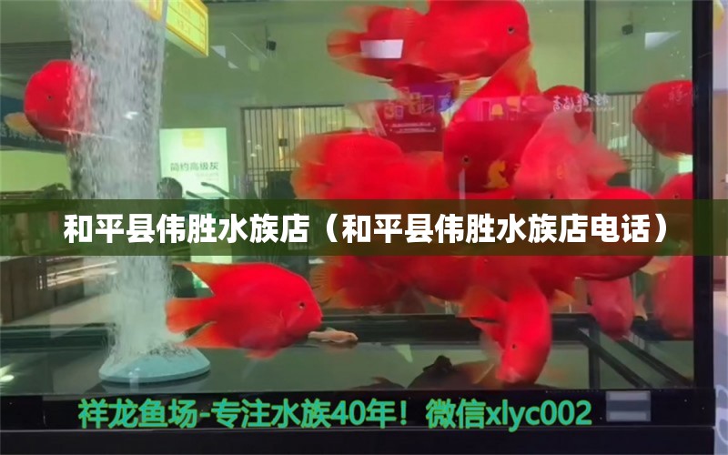 和平县伟胜水族店（和平县伟胜水族店电话） 全国水族馆企业名录