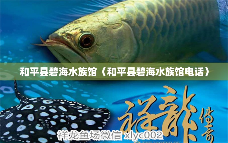 和平县碧海水族馆（和平县碧海水族馆电话） 全国水族馆企业名录