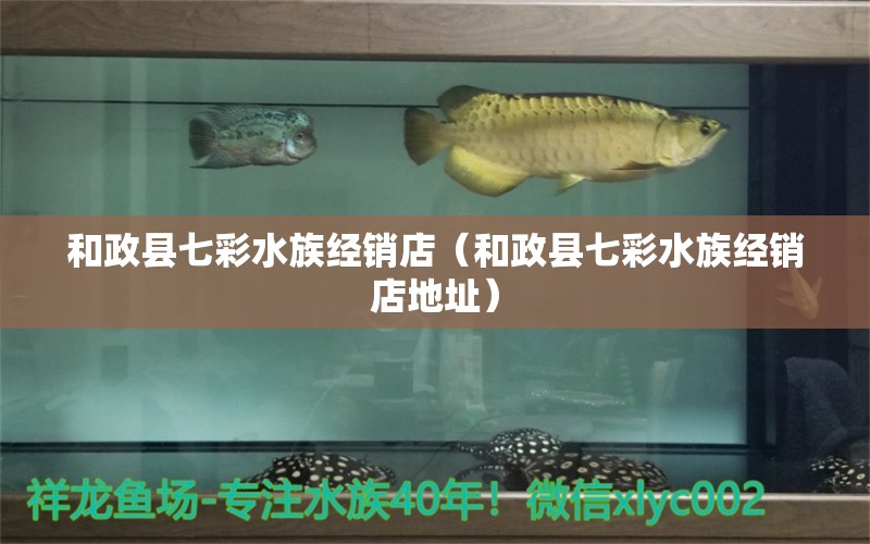 和政县七彩水族经销店（和政县七彩水族经销店地址）