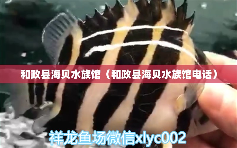 和政县海贝水族馆（和政县海贝水族馆电话） 全国水族馆企业名录