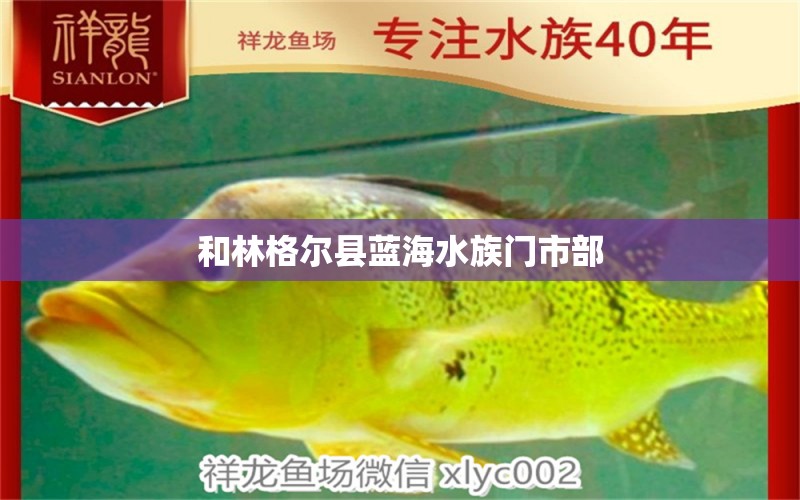 和林格尔县蓝海水族门市部 全国水族馆企业名录