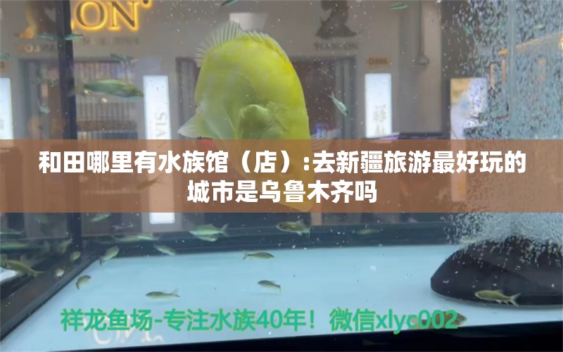 和田哪里有水族馆（店）:去新疆旅游最好玩的城市是乌鲁木齐吗