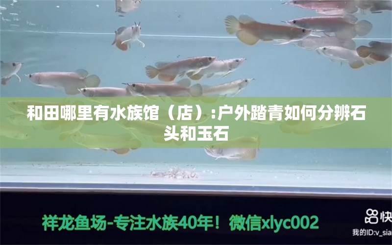 和田哪里有水族馆（店）:户外踏青如何分辨石头和玉石