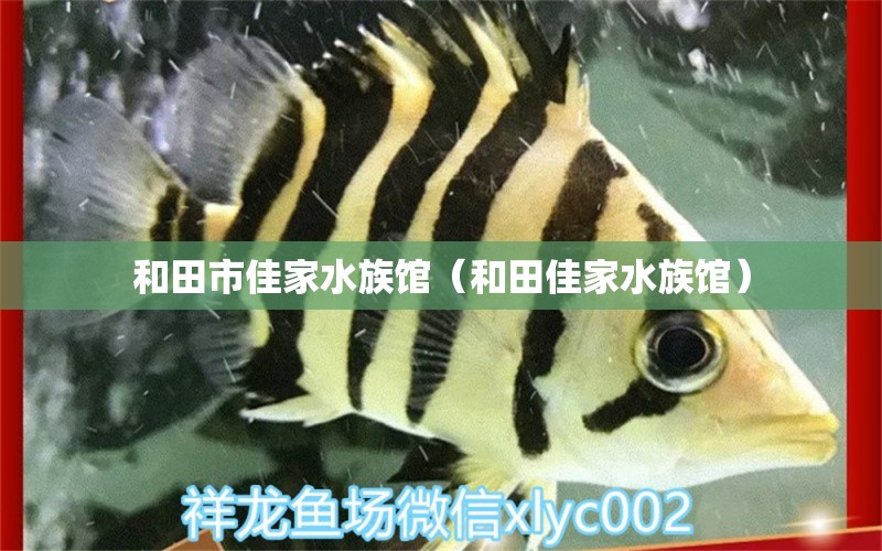 和田市佳家水族馆（和田佳家水族馆） 全国观赏鱼市场 第2张